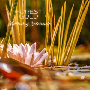 韩国免费无遮漫画黄版网站
